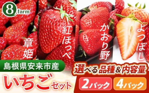【NEW！】🍓選べる品種 イチゴ 2パック / 4パック🍓