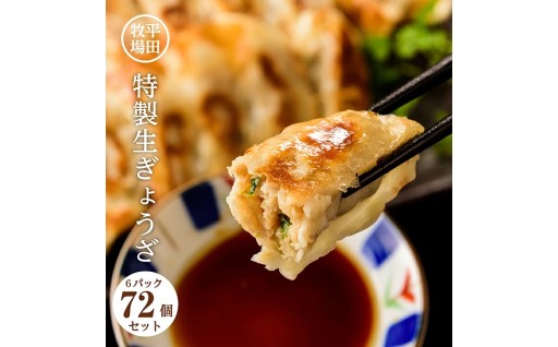 【平田牧場🐖】特製生ぎょうざ🥟72個セット