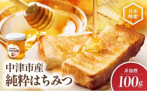 中津市産 日本蜜蜂の非加熱純蜜 100g