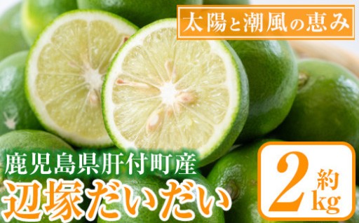 辺塚だいだい 青果 (2kg)