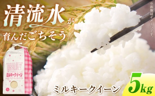 冷めても美味しい！もちもちミルキークイーン