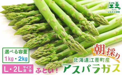 2027年春アスパラ先行予約申込受付中