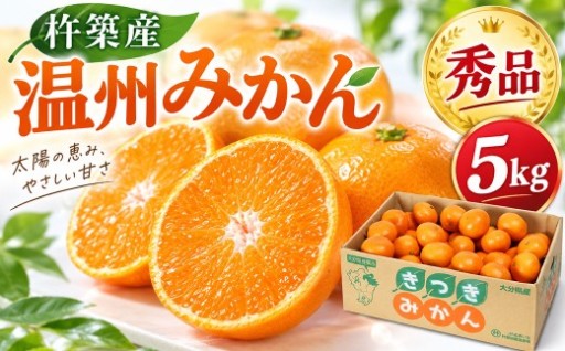 杵築産 温州みかん5kg（秀品）