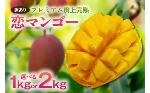 【先行予約】《選べる容量》【訳あり】🥭樹上完熟　恋マンゴー🥭【1kg・2kg】