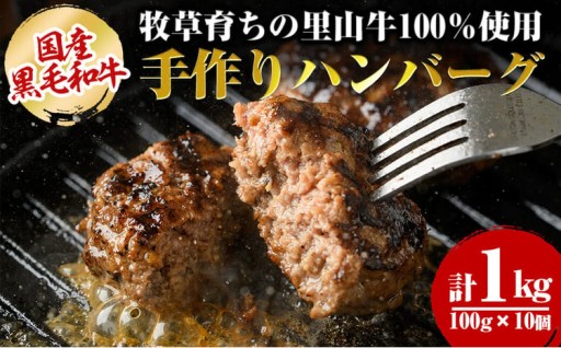 国産黒毛和牛 牧草育ちの里山牛100%使用！手作りハンバーグ 1kg (100g×10個）