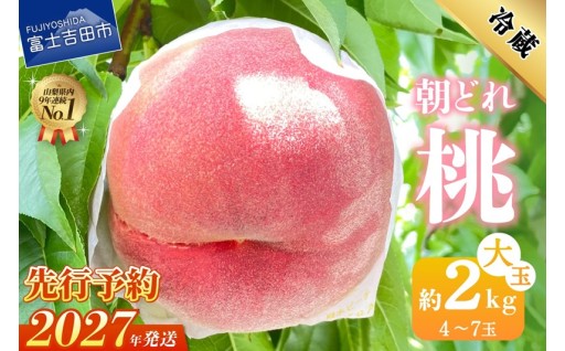【2027年発送 先行予約】山梨の朝どれ桃2kg