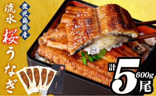 うなぎの柳澤 流水桜うなぎの蒲焼き 計5尾＜計600g＞
