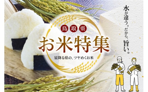 お米特集2026