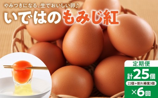 🍁いではのもみじ紅25個 破損補償3個付き×6ヵ月🥚