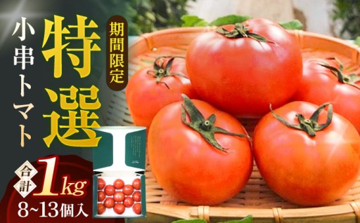 【先行予約始めました！】特選 小串トマト