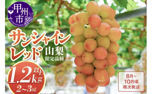 ～山梨県が独自に開発した新品種・サンシャインレッド～