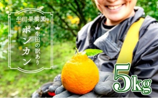 【先行予約】潮風で味が凝縮！「生田の訳ありポンカン」