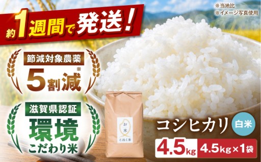 【新米登場】令和8年産！長浜・湖北のコシヒカリ