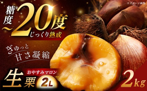 【糖度が収穫時の2倍！】恵那のおやすみ栗 2kg