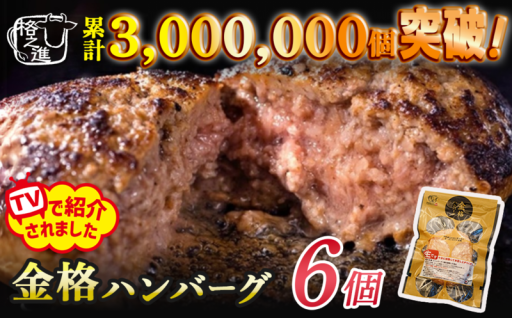 格之進 金格ハンバーグ6個