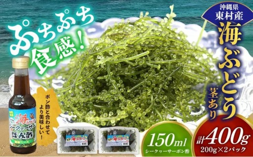 美ら海 沖縄県産 海ぶどうセット／茎あり400g（200g×2パック）ポン酢付 