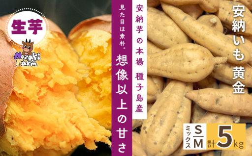 種子島 野﨑ファーム 安納いも (こがね) S・Mミックス 5kg