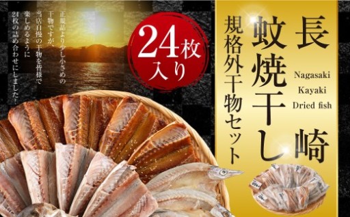 「 長崎蚊焼干し 」 計24枚入り 規格外 干物 セット