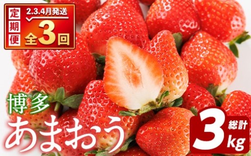 ＜定期便・全3回＞博多 あまおう (総計3kg)