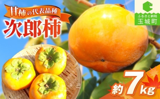【先行予約】2026年度発送 玉城町産玉城次郎柿 約7kg