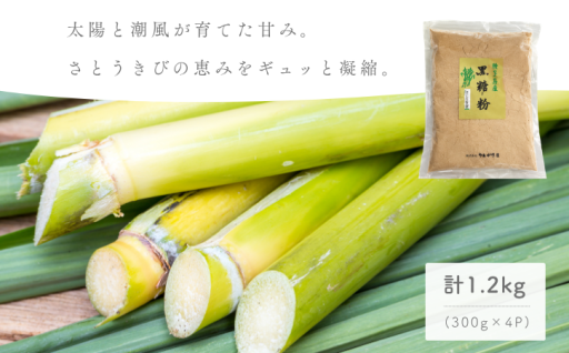 【自社工房手づくり】種子島 りんかけ堂 黒糖粉 （加工黒糖）セット