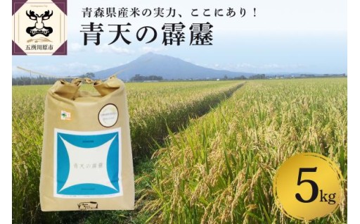 🍚青天の霹靂 【令和8年産】【先行受付】米 特別栽培米 青森県産🍚