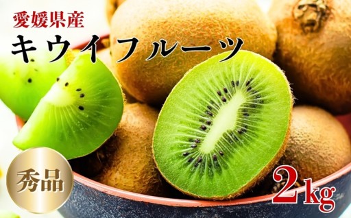 ✨キウイ キウイフルーツ 2kg 秀品 【糖度14度～16度】【2026年11月初旬以降発送】🥝