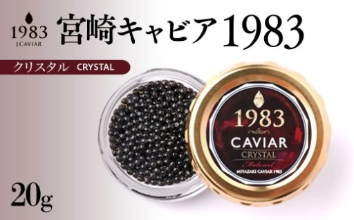  MIYAZAKICAVIAR1983クリスタル