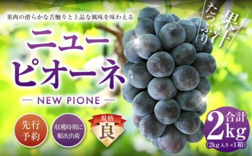 ニューピオーネ（良） 2kg 【2027年8月下旬-9月下旬発送予定】