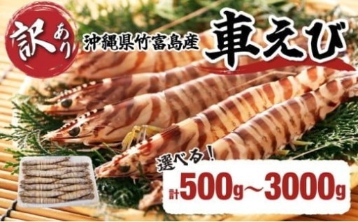 【訳あり】竹富島産『車えび』！