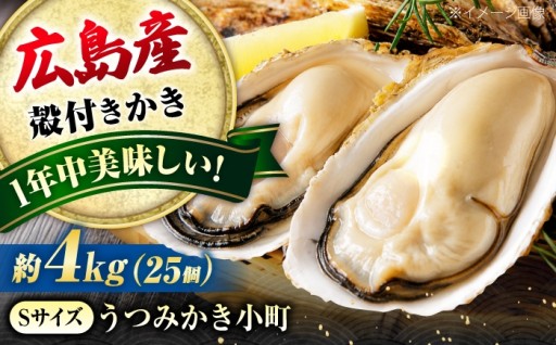 夏も冬もおいしい！牡蠣「かき小町」Sサイズ
