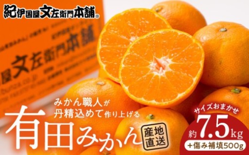 🍊有田みかん 約7.5kg＋傷み補填分500g！たっぷり合計8kg✨