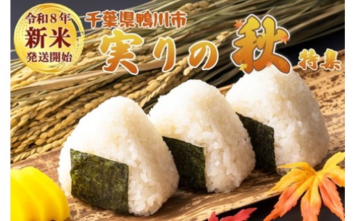 【令和８年 新米発送開始🌾】鴨川『実りの秋』特集