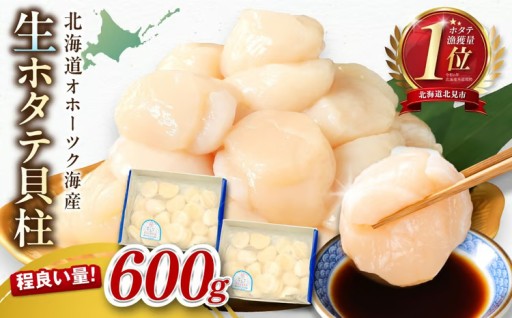 大人気のホタテ貝柱から600gが登場しました✨🎉