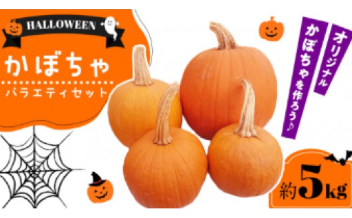 【受付終了間近】これ一つでハロウィンの準備完了！