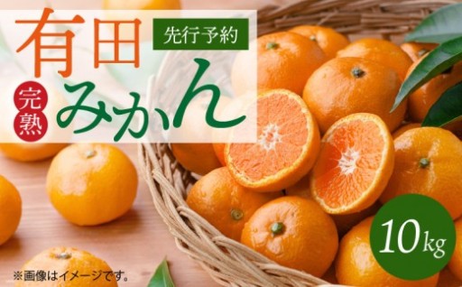 🍊完熟！和歌山県産 有田みかん 約10kg✨