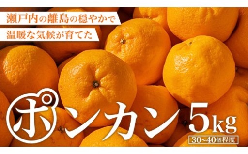 大崎上島産 ポンカン 5kg ( 30～40個程度 )