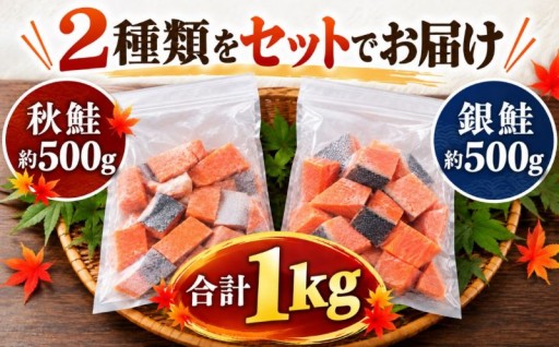 ＼海産物の宝庫／秋鮭 ＆ 銀鮭 食べ比べセット🐟💛🧡