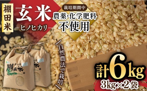 ＼新米をお届け！／棚田育ちの特別栽培玄米