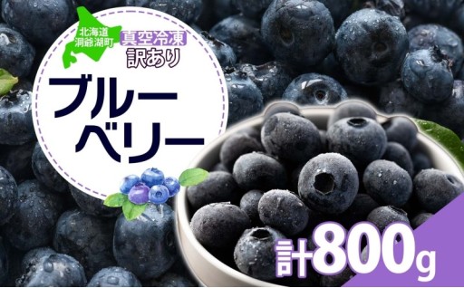 【大自然の恵み】洞爺湖町産・訳あり冷凍ブルーベリーをお届け！