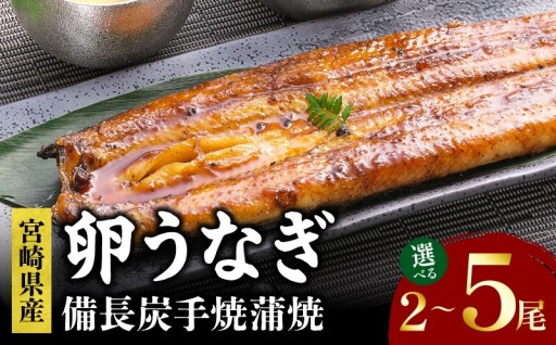 【宮崎県宮崎市】【内容量が選べる】「卵うなぎ」