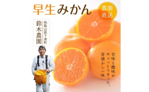 早生みかん（希少な小粒２S～３Sサイズ）5ｋｇ混合11月中旬～12月下旬頃に