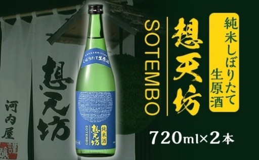 想天坊 純米しぼりたて生原酒 720ml×２本🍶
