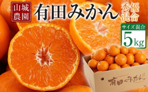 【高評価】山城農園 和歌山県産 有田みかん 5kg 甘くて濃厚！混サイズ 農園直送 人気No.1 口コミ多数！