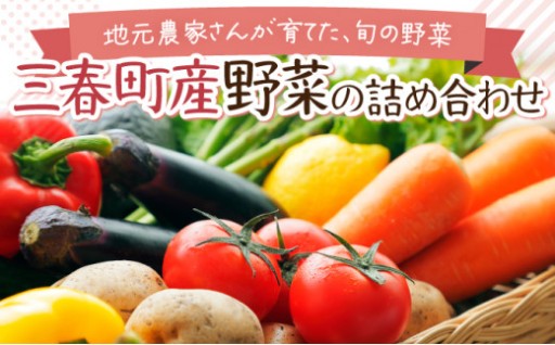 【旬の野菜】三春町産野菜の詰合せ 約10〜15kg