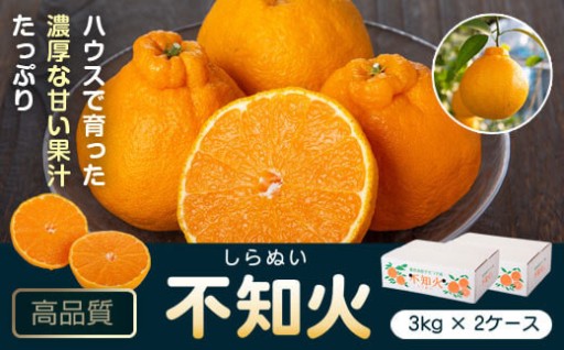 ＜先行予約＞肝付町産 不知火しらぬい(計6kg)