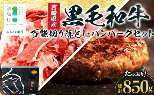 宮崎県産黒毛和牛 切り落とし＆ハンバーグセット