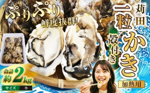 苅田一粒かき 加熱用 小サイズ 約2kg （ 30個以上 ）