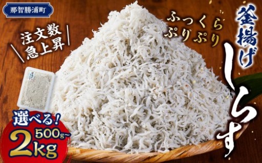 【スピード発送】 最短7日以内発送！＼注文数急上昇／釜揚げしらす 500g〜2kg 【選べる容量】