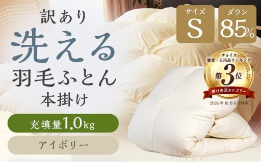 訳あり 節電対策 洗える羽毛ふとん 本掛け 充填量1.0kg ダウン85% シングル アイボリー